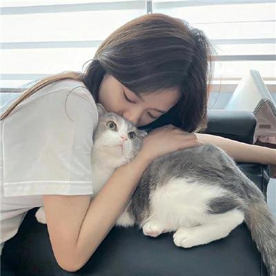 新猛龙过江